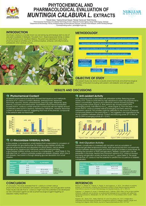 Pharmacological Overview of Muntingia Calabura | PDF | Polyphenol ... - raincitystudios.com