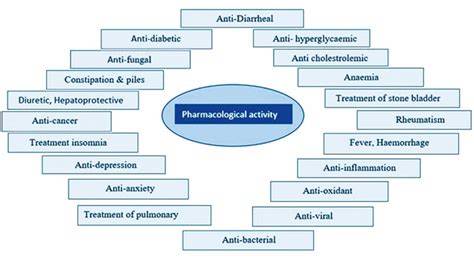 Pharmacological potential of Manilkara zapota (L.) P. - raincitystudios.com
