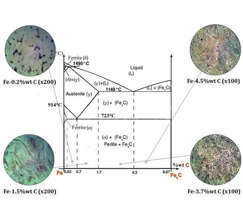 Phase Diagrams and Microstructure Analysis - Studocu - wintechmobiles.com