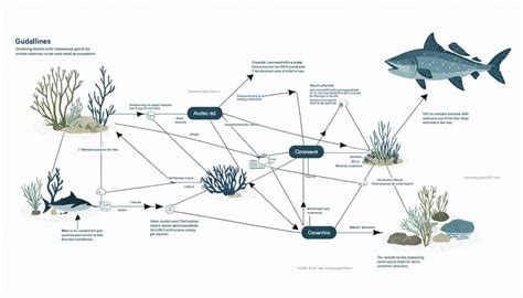 PhD: ReefWatchers: Advancing Marine Ecosystem Assessment - raincitystudios.com