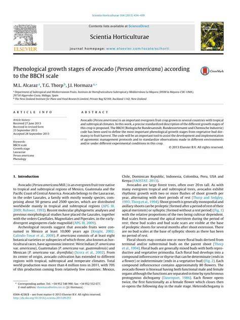 Phenological growth stages of avocado (Persea americana) according to ... - raincitystudios.com