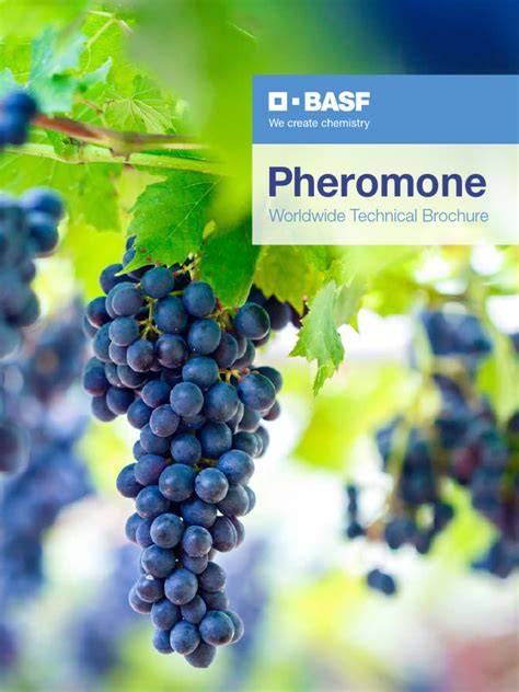 Pheromone Pest Control by BASF - raincitystudios.com