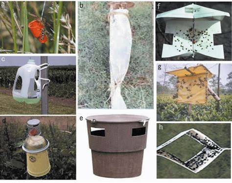 Pheromone traps for insect control in field crops - Plantix - raincitystudios.com