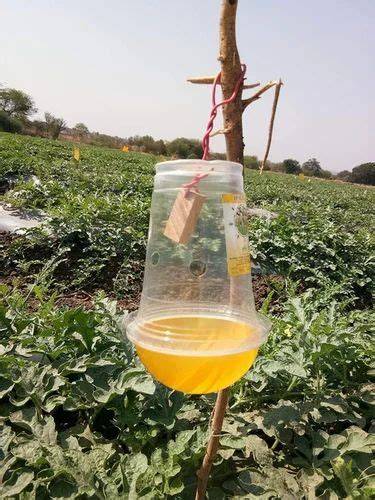 Pheromone Traps for Organic Agriculture | Gaiagen India - raincitystudios.com