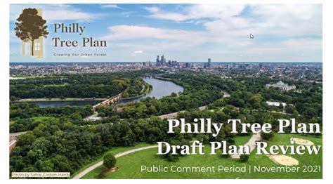 Philly Tree Plan - The Philadelphia City Fund - raincitystudios.com