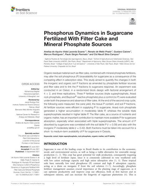 Phosphorus Dynamics in Sugarcane Fertilized With … - raincitystudios.com