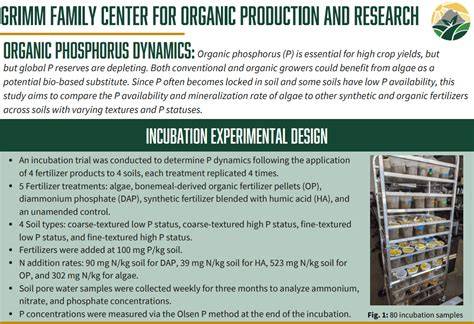 Phosphorus Fertilizers for Organic Farming Systems - Extension - raincitystudios.com