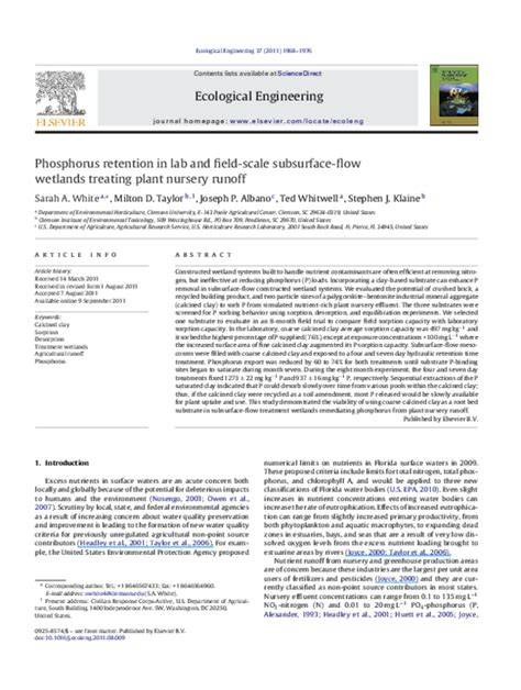Phosphorus retention in lab and field-scale subsurface-flow wetlands ... - raincitystudios.com
