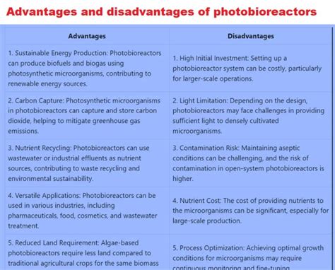 Photobioreactor Advantages and Disadvantages - Industrial Plankton - muktibox.com
