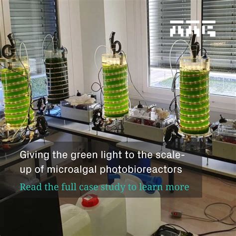 Photobioreactors | SCHOTT - muktibox.com