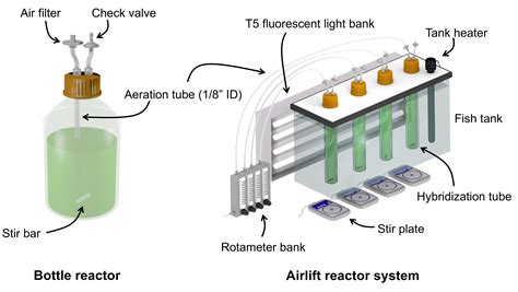 Photobioreactors for the production of microalgae - Springer - muktibox.com