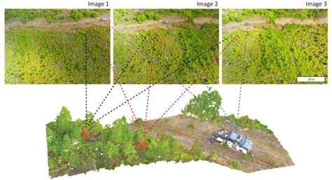 Photogrammetry and LiDAR for Forest Industry - GeoAI - wintechmobiles.com