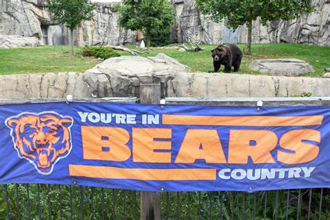 PHOTOS: Brookfield Zoo animals rep Chicago Bears ahead of first game
