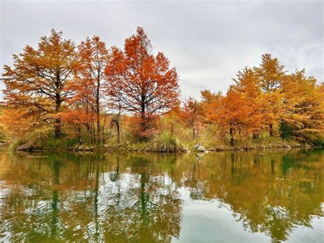 PHOTOS: Fall foliage reaches Austin, Central Texas