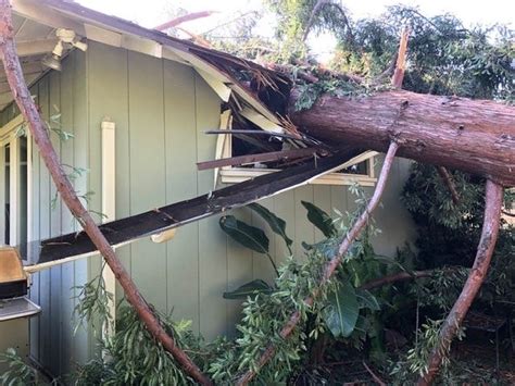 PHOTOS: Fallen tree crushes Marin County home