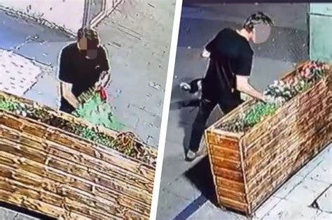 PHOTOS: Highland police search for flower thief