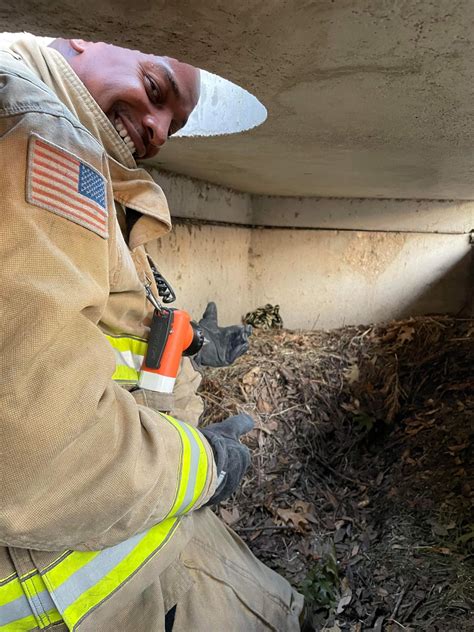 PHOTOS: Round Rock firefighters rescue ducklings from storm drain