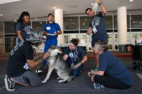 PHOTOS: Vets hold free clinic for pets of people experiencing homelessness during AVMA Conference in Denver