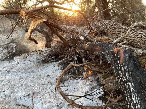PHOTOS: Wildfire burns dozens of acres near Ruby Ranch in Buda