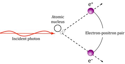 Physics:Pair production - HandWiki - wintechmobiles.com