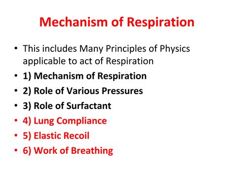 Physics of respiration - Wikiwand - muktibox.com