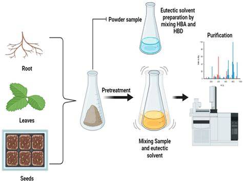 Phytochemical analysis and biological activity of the leaf extracts of ... - raincitystudios.com