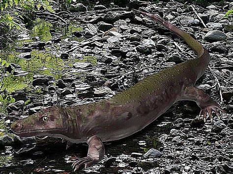 Pictures and Profiles of Prehistoric Reptiles - ThoughtCo - muktibox.com