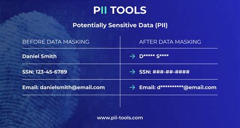 PII Data Masking & Data Discovery: Best Practices … - coolestguyplanet.net
