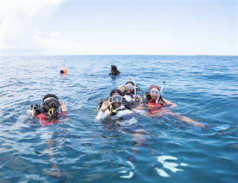 PIMS Internships - Perry Institute for Marine Science - raincitystudios.com