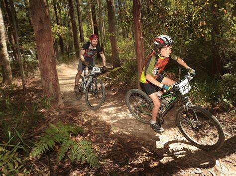 Pine Creek State Forest Mountain Bike Trails - Visitnsw - raincitystudios.com