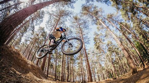 Pine Forest Mountain Biking Trails | Trailforks - raincitystudios.com