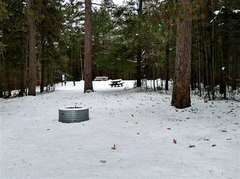 Pine Grove State Forest Campground | Michigan - raincitystudios.com