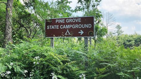 Pine Grove State Forest Campground - State of Michigan - raincitystudios.com