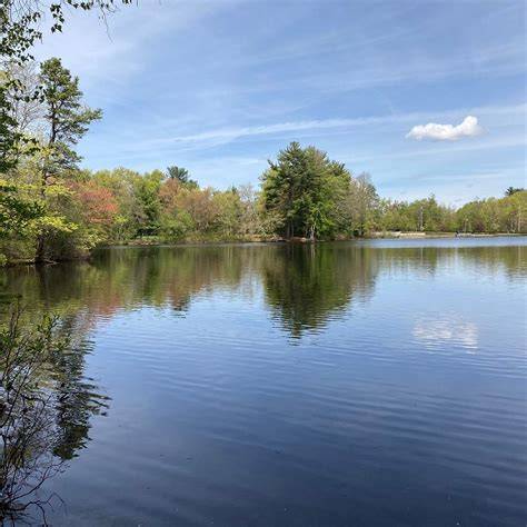 PINE LAKE ADVENTURE PARK | Bristol, CT - Official … - raincitystudios.com