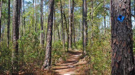 Pine Log State Forest Mountain Biking Trails | Trailforks - raincitystudios.com