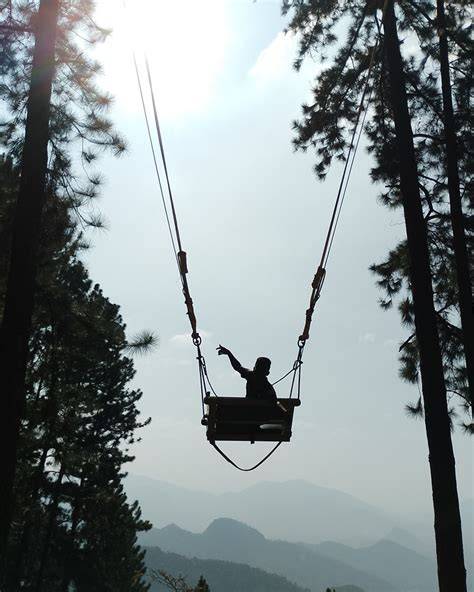 PineTree Adventures - Ambuluwawa | Gampola - raincitystudios.com