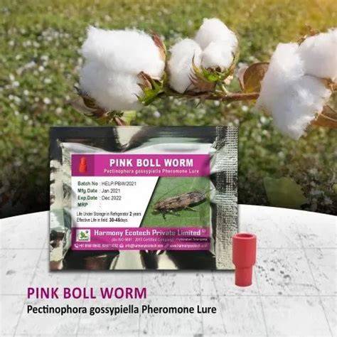 Pink Boll Worm Pheromone chemical - IndiaMART - raincitystudios.com