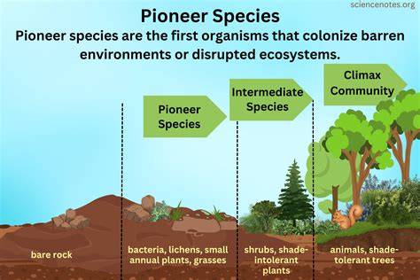 Pioneer Species and Their Role in Ecosystems … - raincitystudios.com