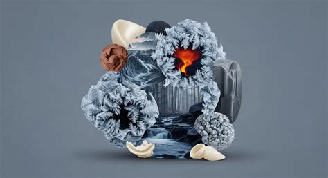 Pioneering climate-positive approach to mangrove ecosystems | World ... - muktibox.com