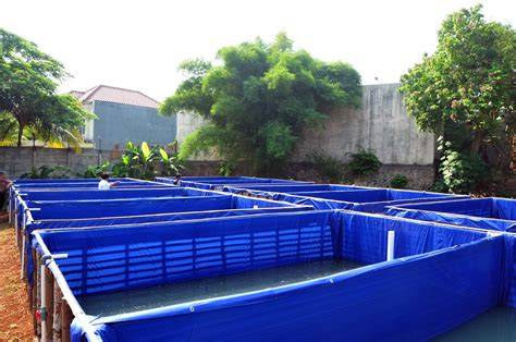 Pipa Pembuangan Kolam Terpal untuk Lele Farm - raincitystudios.com