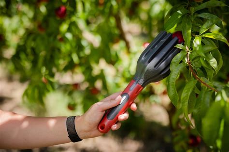 PIPS tests tech to boost labour efficiency in orchards - raincitystudios.com