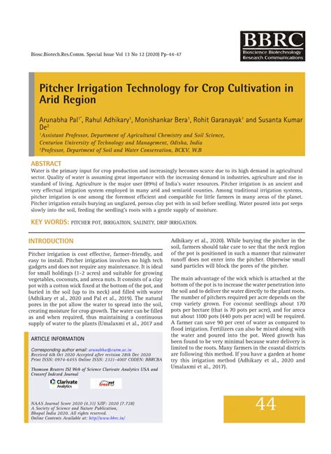 Pitcher Irrigation Technology for Crop Cultivation in Arid Region - raincitystudios.com