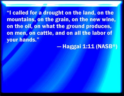 PITWM VERSE BY VERSE HAGGAI 1:1-11 LESSON: HAGGAI …