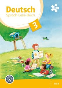 PL-300-Deutsch Buch