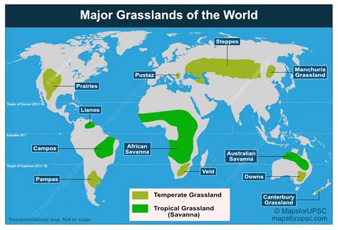 Placing Brazil's grasslands and savannas on the map of science and ... - raincitystudios.com