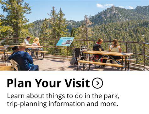 Plan Your Visit - Gardens of Golden Gate Park - raincitystudios.com