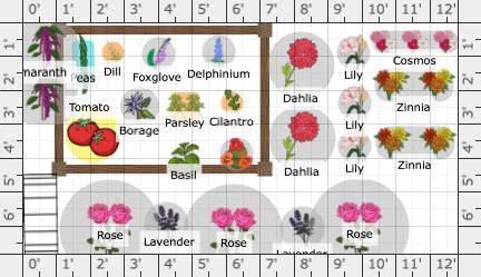 Planning a CUT FLOWER Garden: How I Plan - raincitystudios.com