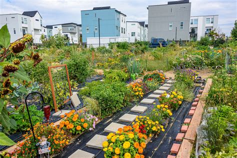 Planning urban community gardens strategically through multicriteria ... - raincitystudios.com