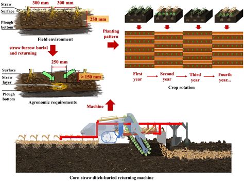 Plant, Soil and Environment: Inorganic improver and straw returning ... - raincitystudios.com