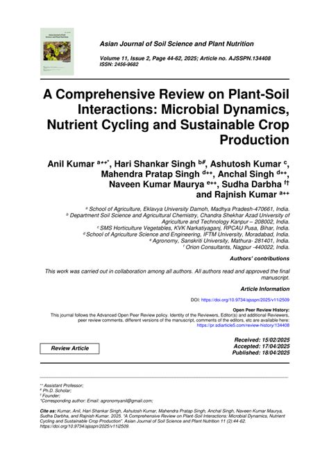 Plant–Soil Interactions and Nutrient Cycling Dynamics in Tropical ... - raincitystudios.com